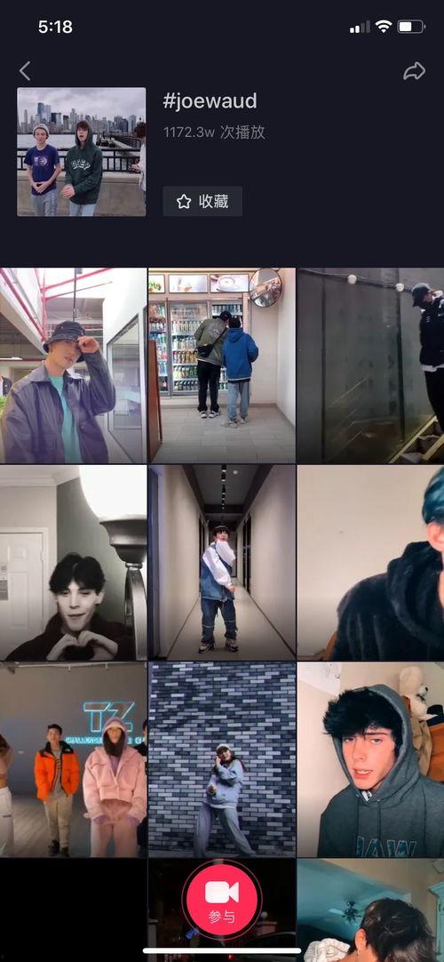 大家一起来视频,共创欢乐时光的短视频盛宴