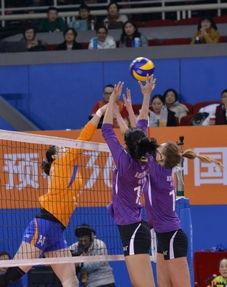 女排联赛视频直播,激情四溢！女排联赛精彩瞬间直播回顾