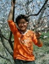 醉香视频,带你领略视觉盛宴的奇幻之旅