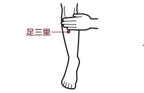 足三里针灸手法视频,足三里针灸手法实操视频解析